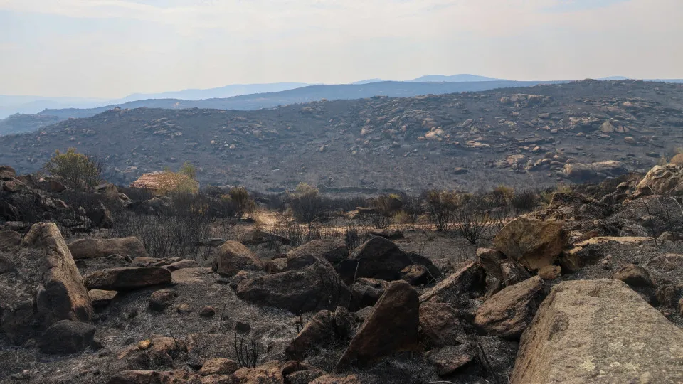 REPORTAGEM: Incêndios: Fogo no Douro Internacional deixou rasto de destruição ambiental e agrícola