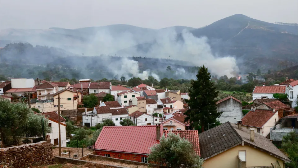 Wildfires affect over 201,000 Hectares in Portugal