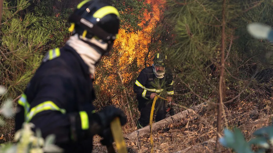 Forest fire in Pampilhosa da Serra