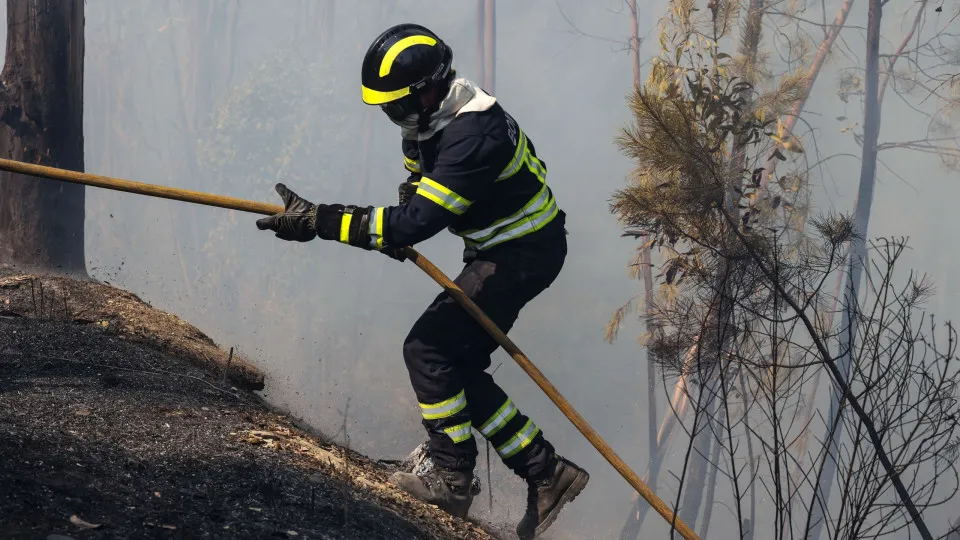Wildfires affect over 201,000 Hectares in Portugal