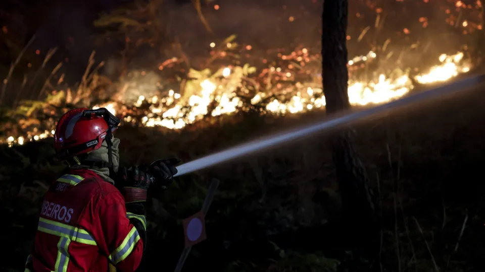 Forest fire in Pampilhosa da Serra