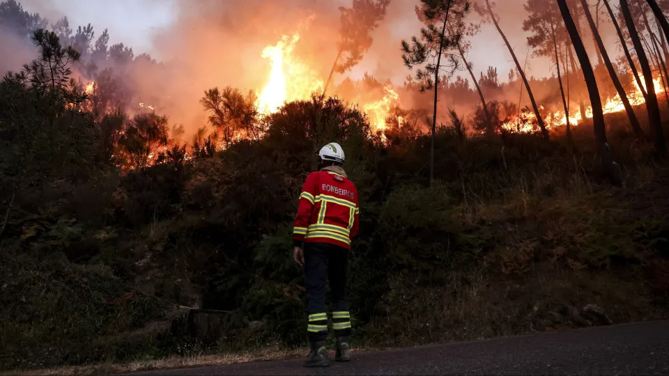 Wildfires affect over 201,000 Hectares in Portugal