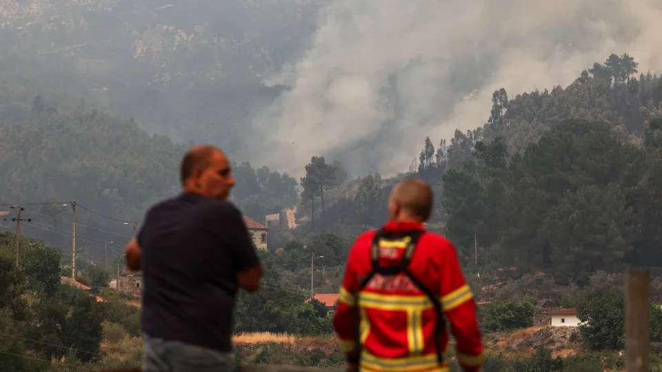 Forest fire in Castelo Branco