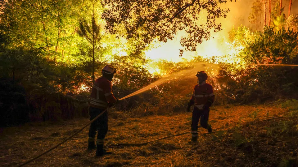 Zero defende planos de ação climática para prevenir e reduzir incêndios