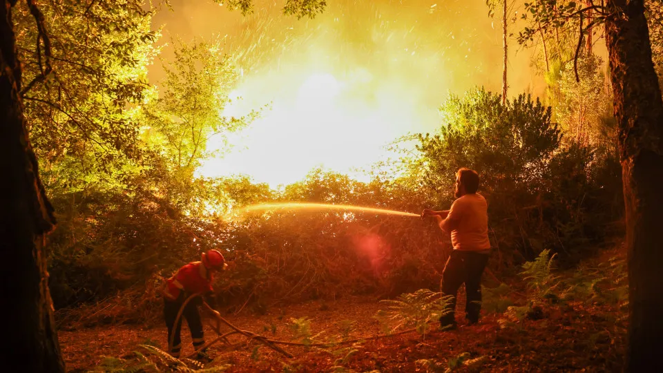 Forest fire in Pedrogao Grande