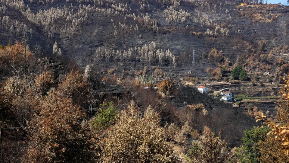 Turismo com "cancelamentos massivos" após fogos aguarda medidas de apoio