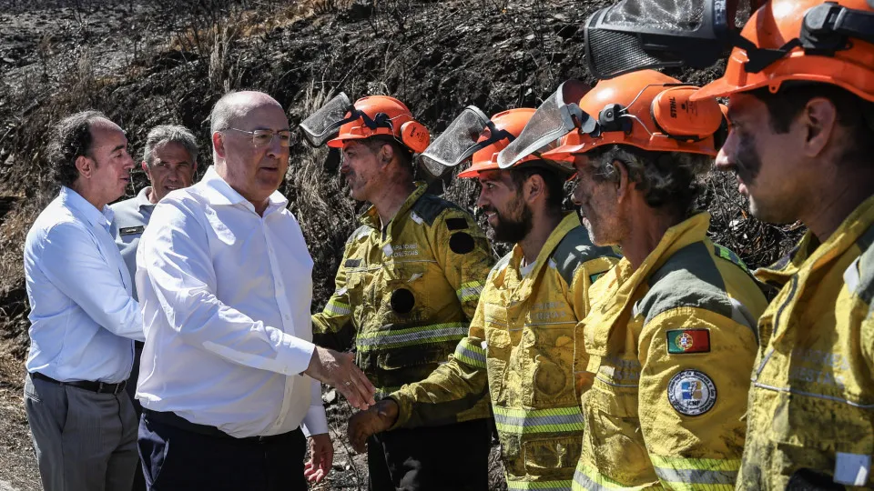 Ministro da Agricultura quer apostar na pastorícia para prevenir fogos