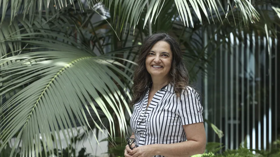 Desinformação? Verificar factos demora muito tempo, diz investigadora