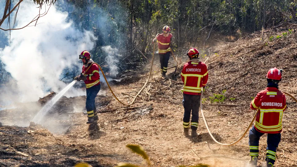 Fogo de sábado na Póvoa de Lanhoso está extinto