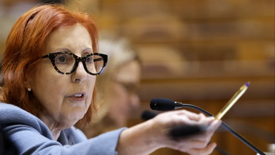 Estão elaborados 90% dos planos de gestão das áreas protegidas - Notícias ao Minuto