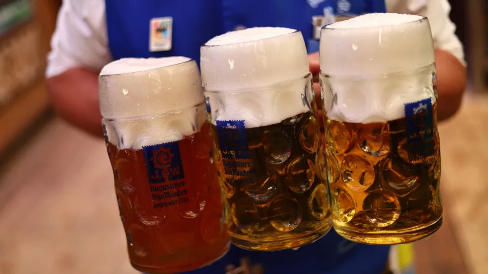 Sete em cada 10 jovens de 18 anos admitem ter consumido álcool
