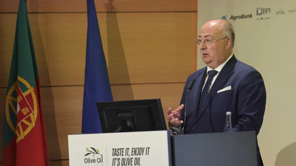 Azeite depende de inovação e investimento: Agricultura "também é defesa"