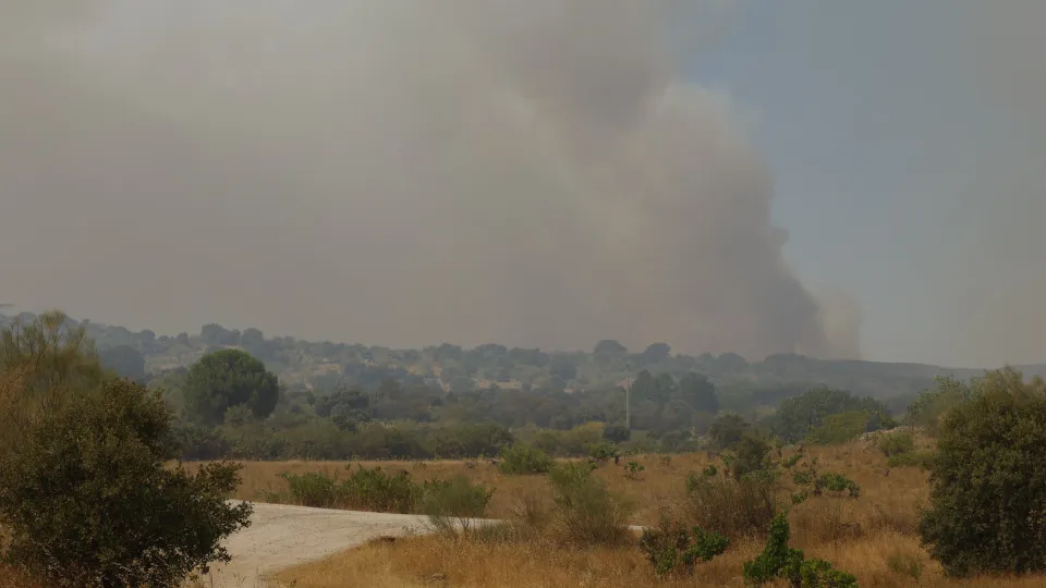 Madrid vive "pior incêndio da história": 19.000 pessoas retiradas de casa