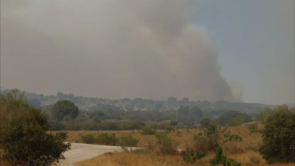 Madrid vive "pior incêndio da história": 19.000 pessoas retiradas de casa