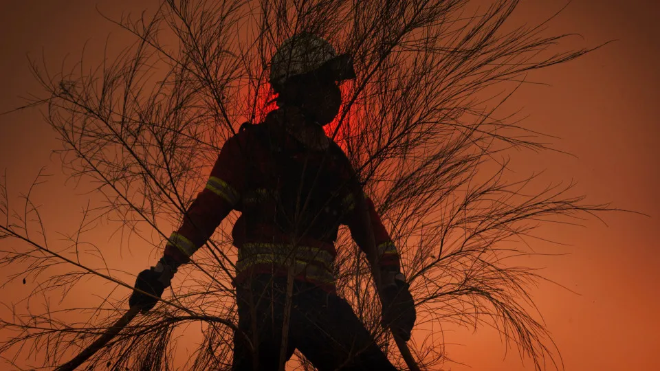 Incêndios. Plataforma portuguesa de IA está a ser testada