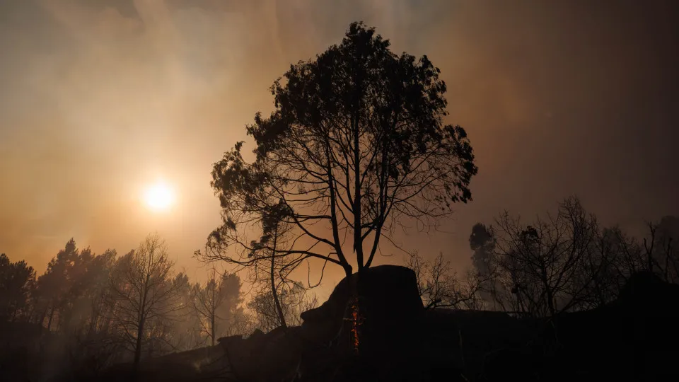 Mais de 5.700 incêndios nos primeiros sete meses do ano