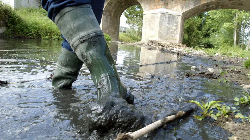 PORTUGAL : SUINICULTURAS POLUEM RIBEIRA DOS MILAGRES
