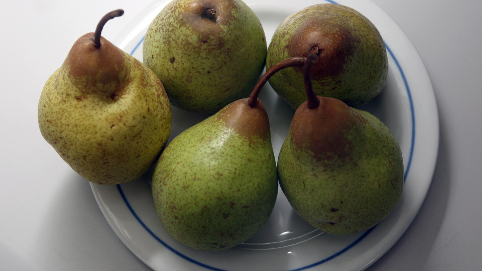 Portugal tem 327 variedades de fruteiras registadas este ano