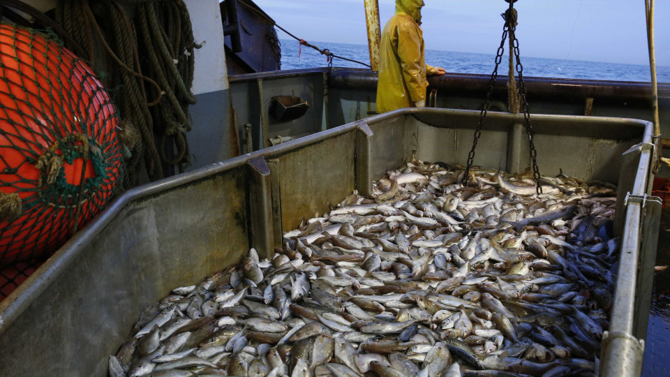 Cabo Verde e UE preparam novo acordo de pesca