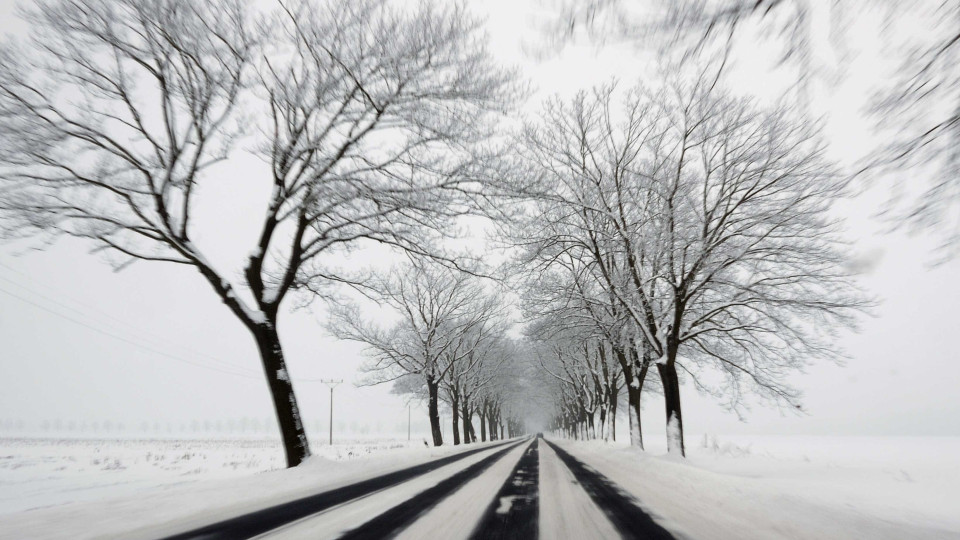 Depois da Serra da Estrela, neve também corta estradas em Viseu