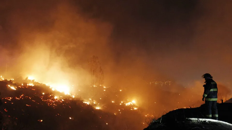 Tribunal absolve acusado de atear fogo florestal