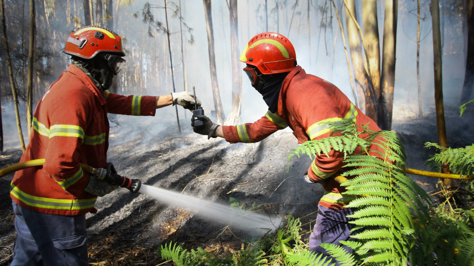 Queimadas entre as principais causas dos fogos até 15 de agosto