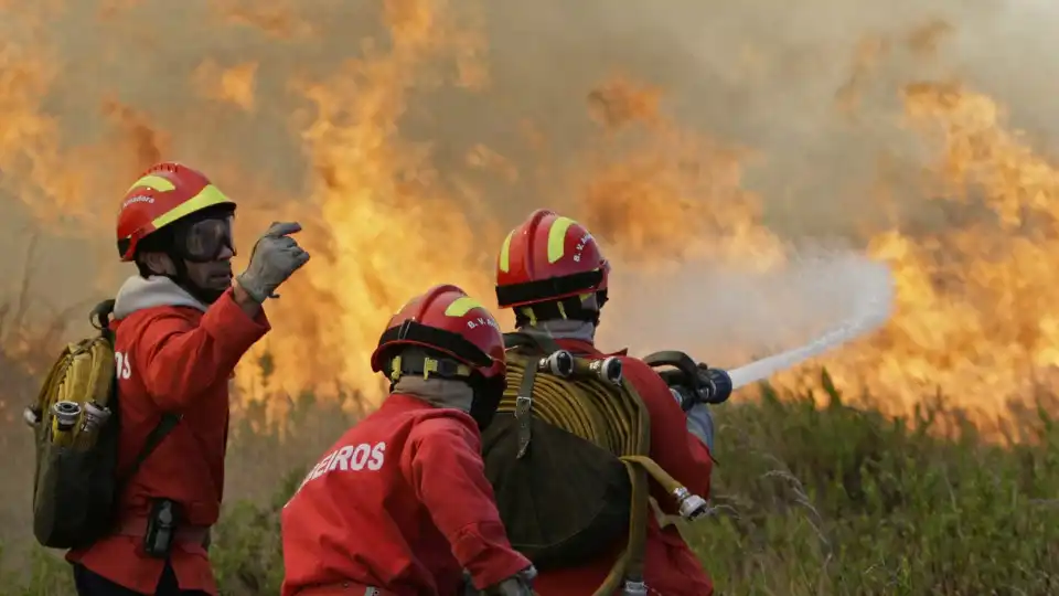 Combate a evoluir "favoravelmente" no incêndio de Castelo Branco