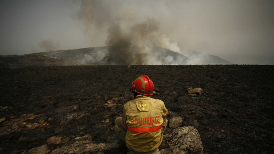 Faro: 150 bombeiros combatem fogo em zona de pinhal