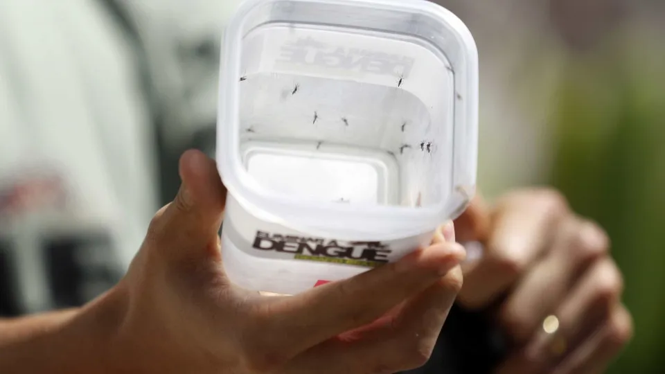 Bangladesh enfrenta surto de dengue que já provocou este ano 778 mortes
