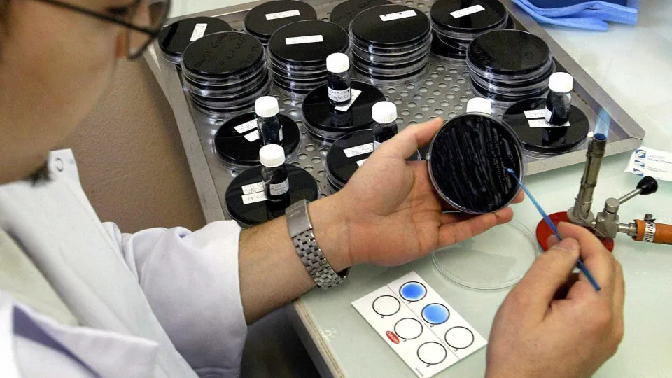 Um morto e 4 internados após darem positivo para legionella em Espanha