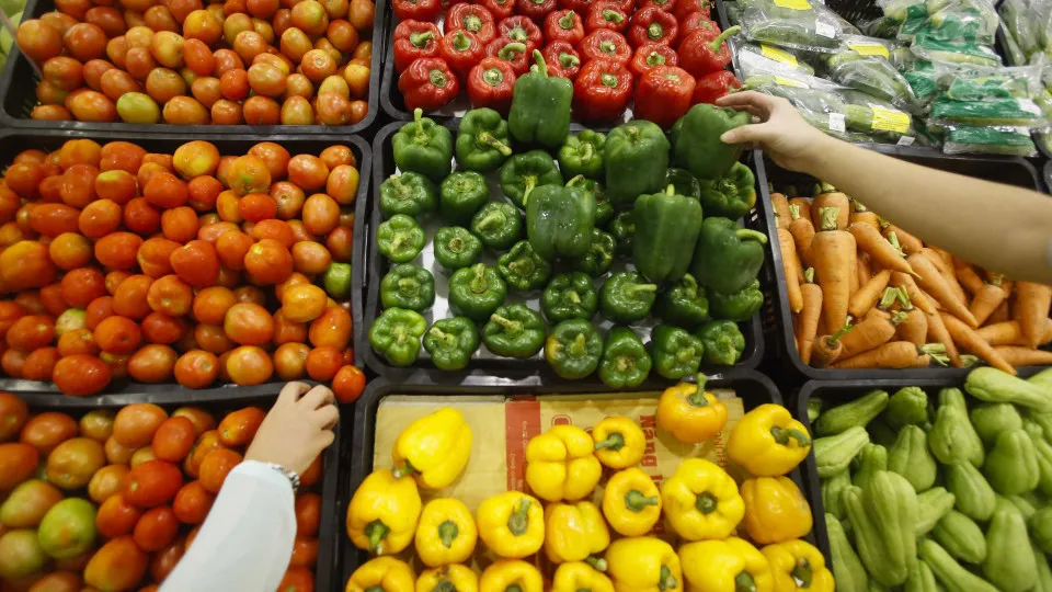 Covid-19. DGS lança manual para orientar consumo e compra de alimentos