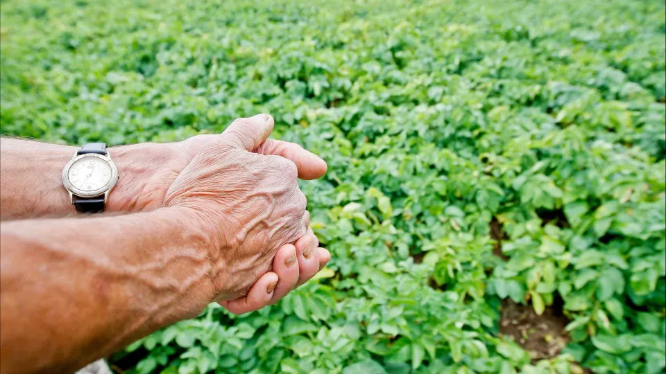Agricultores? Autarca de Macedo de Cavaleiros pede celeridade nos apoios