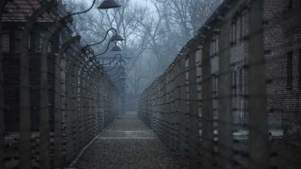 Livro sobre Holocausto revela casos de bebés nascidos em campos