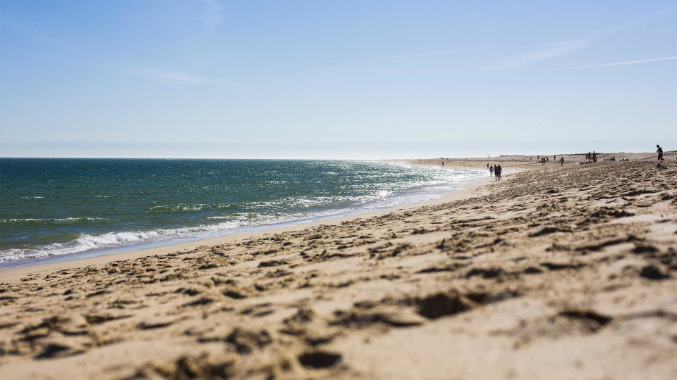 Desaconselhada ida a banhos na praia de Gondarém no Porto