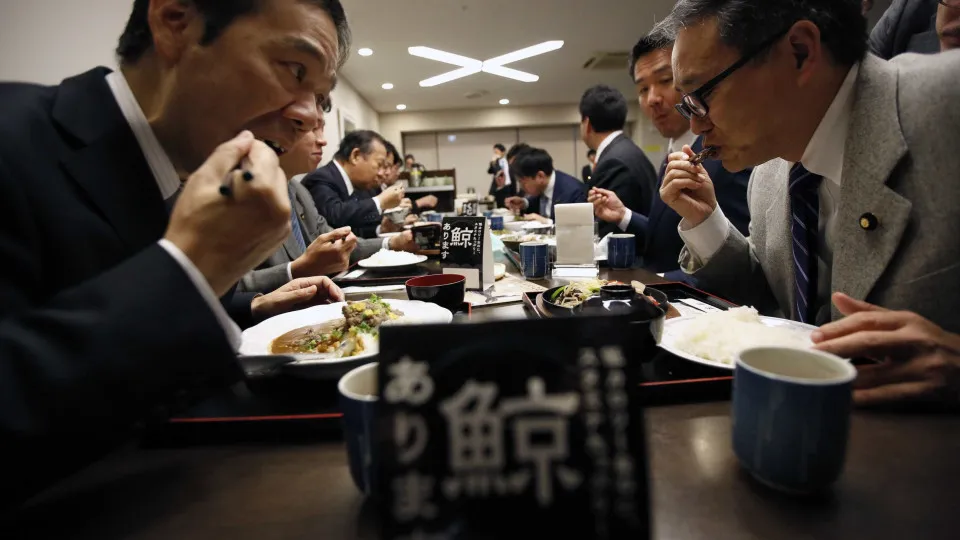 Japão, Restaurante, Restaurante Japonês