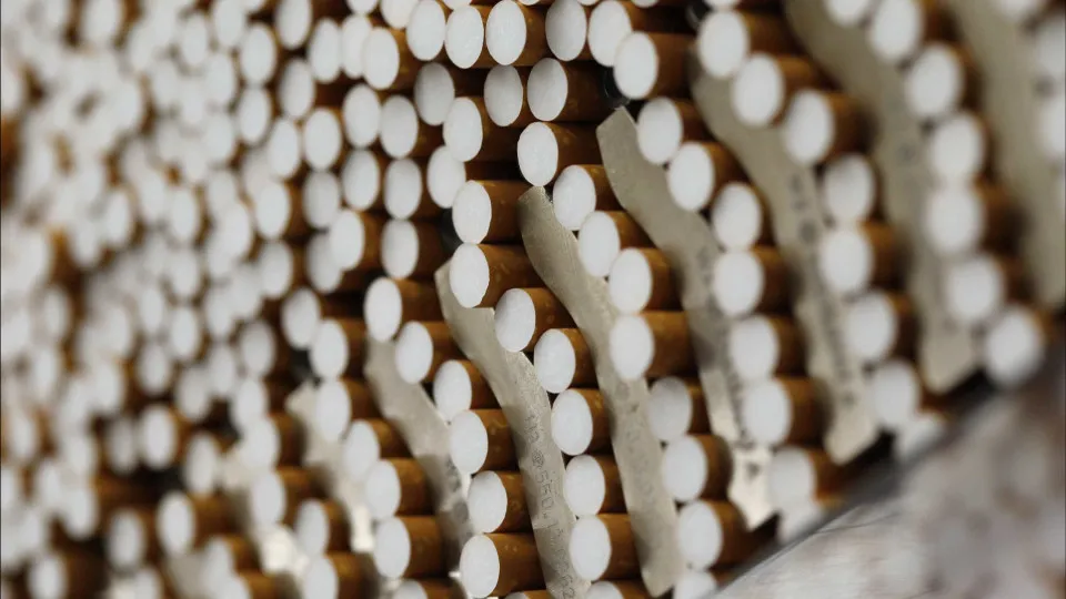 Cigarro, fumar, tabaco, British american tobacco