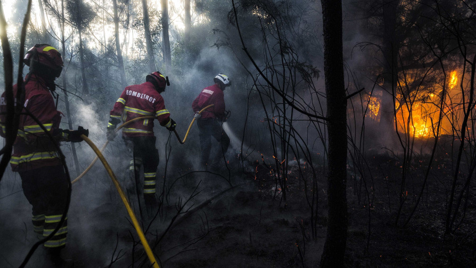 Dominado fogo em mato em Viana do Castelo