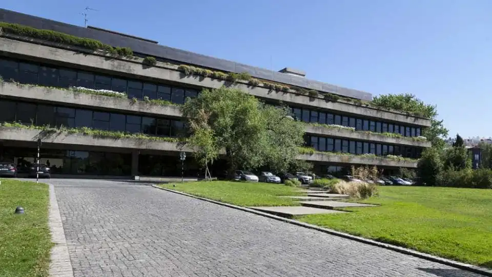 Gulbenkian expõe "duas obras maiores" de Paula Rego adquiridas em 2022