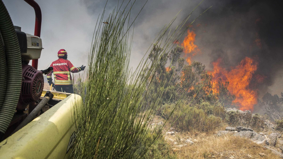 Mais de 60 bombeiros combatem fogo na zona da Encosta do Sol, na Amadora