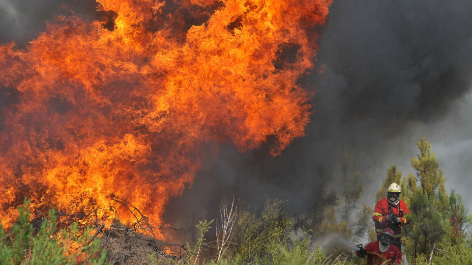 Fogo no concelho de Coimbra obrigou a reforço dos meios no terreno