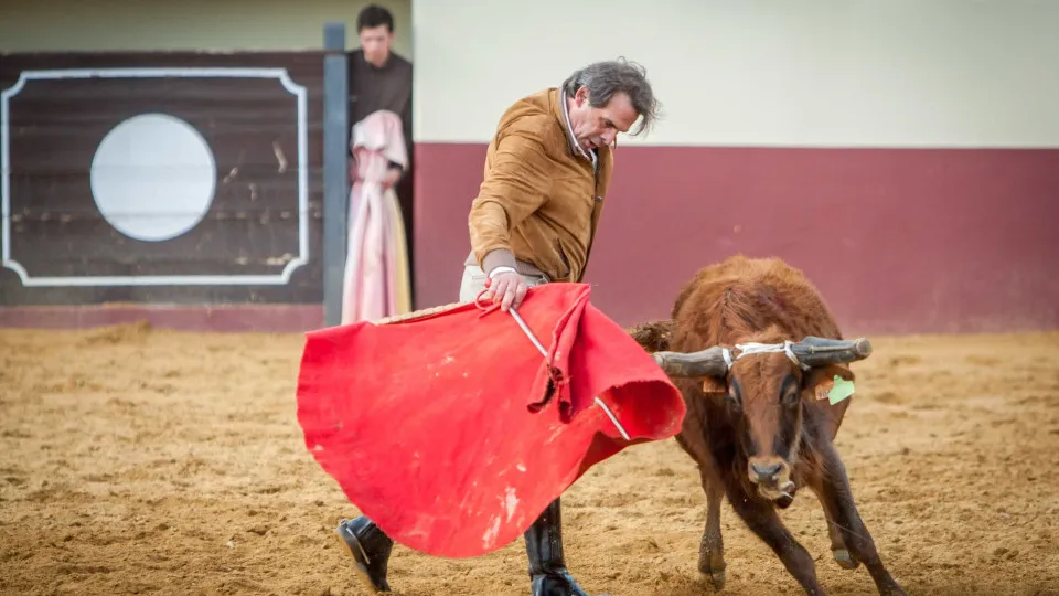 Morreu o cavaleiro Joaquim Bastinhas