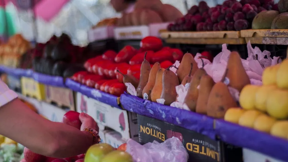 Documentário alemão expõe fraude com venda de fruta na Madeira