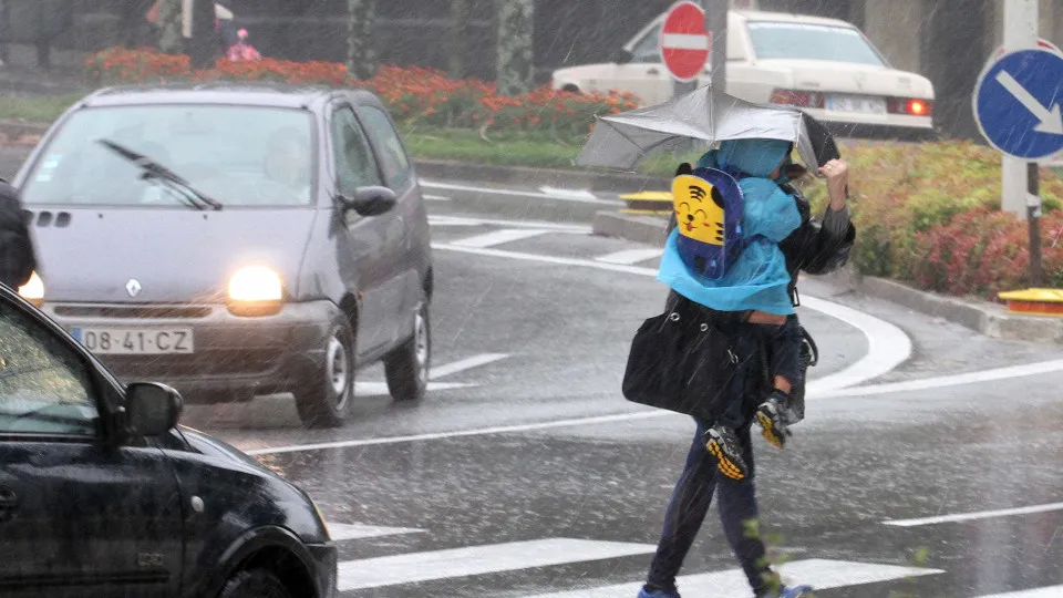 Queda de árvore corta A1 entre Condeixa-a-Nova e Pombal