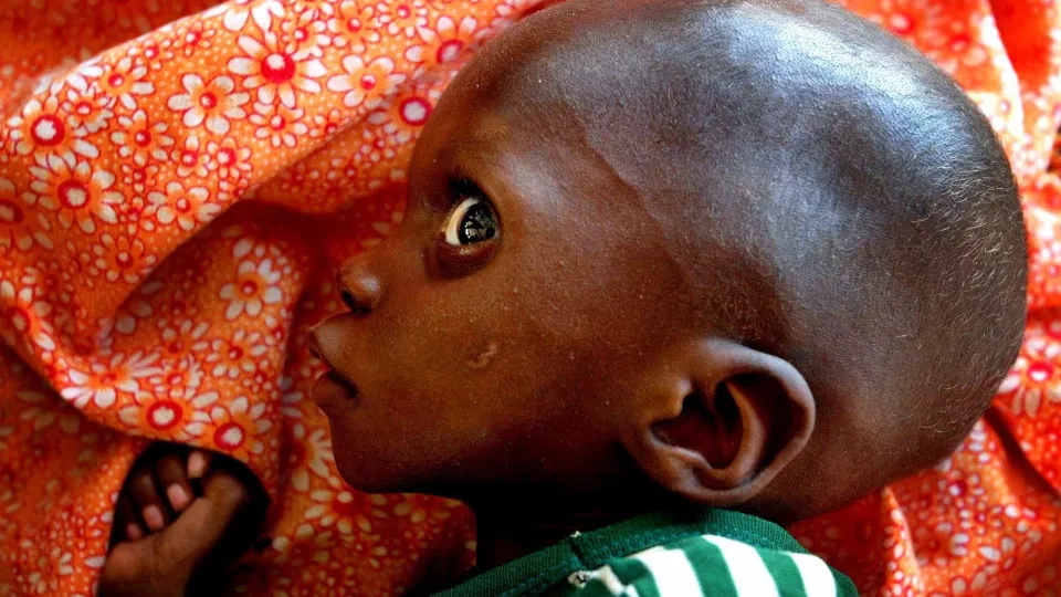 Sudão. Subnutrição ameaça 1,6 milhões de crianças menores de 5 anos