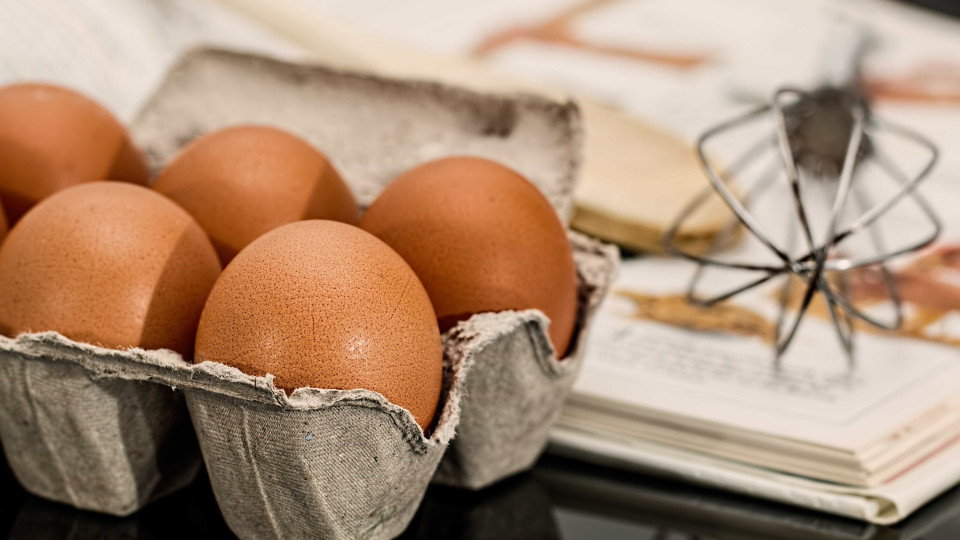 Será que os ovos que tem em casa estão realmente frescos?