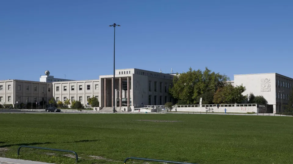 Faculdade de Letras lança manual de primeiros socorros psicológicos