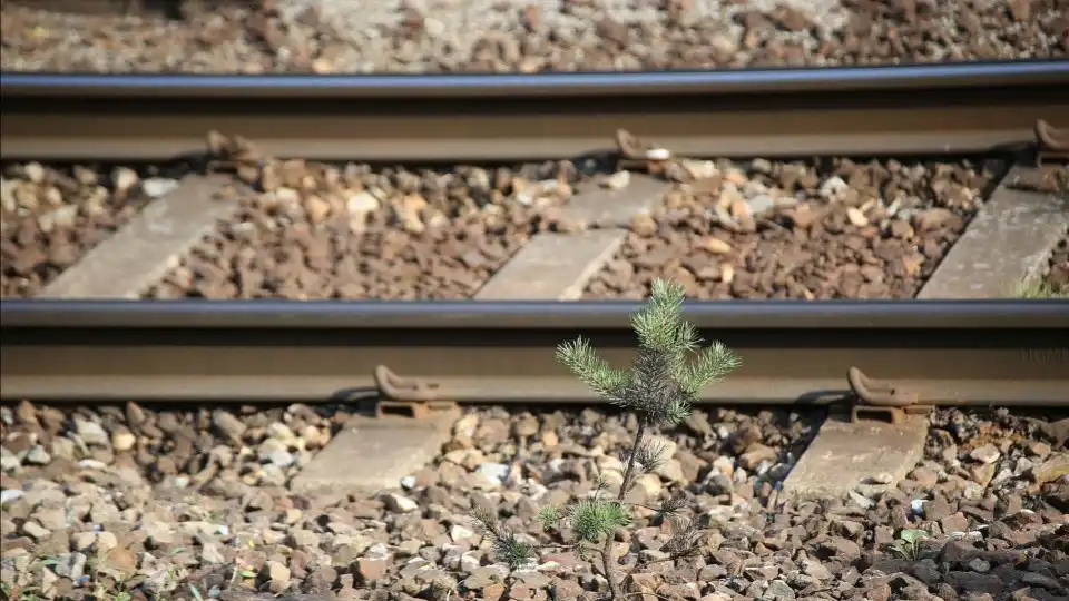 Passe ferroviário de 20 euros em vigor em 21 de outubro