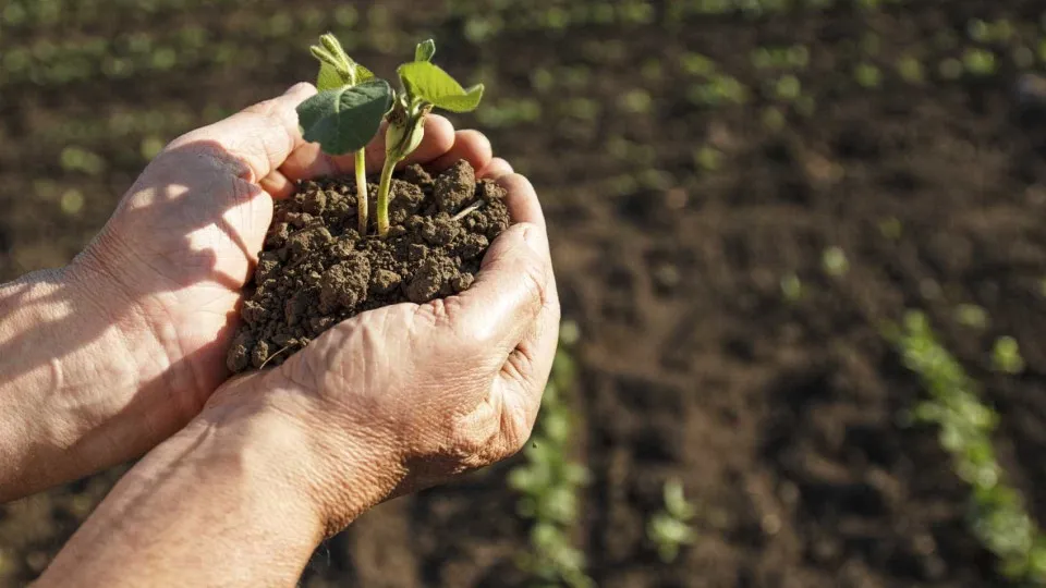 Problemas do país agravaram-se com "destruição da reforma agrária"