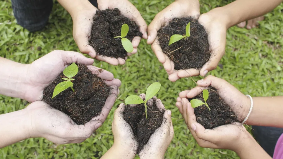 Dicas para incentivar o seu filho a cuidar mais da natureza