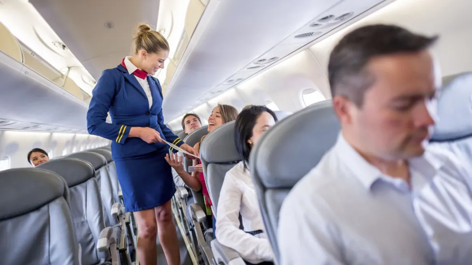 tripulante de cabina, avião, assistente de bordo, viajar